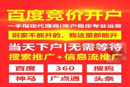 案例解读：SEO与SEM优化助力电商崛起